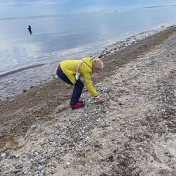 Strandwanderung und die Suche nach Schätzen.