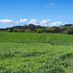 Galicia where it's so green and usually raining. Today we got both green around and sunshine above