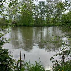 La Charente.