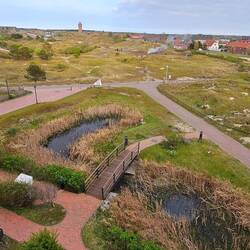 Blick aus meinem Zimmer