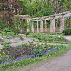 der Rosengarten
