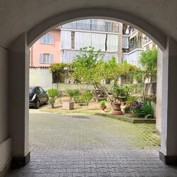 Innehof mit grüener Insle. Dov'è il gatto🐈