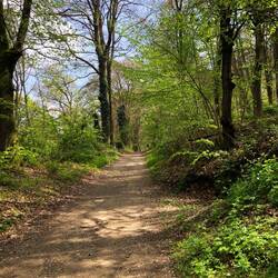 Alter Postweg von Königsberg über Berlin nach Kleve- und andersrum :-)