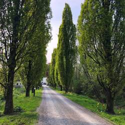 Zur Burg Boetzelaer...