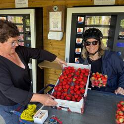 Delicious farm fresh strawberries 🍓