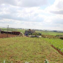 Bis an den Horizont Felder