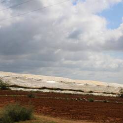 So viele Folientunnel