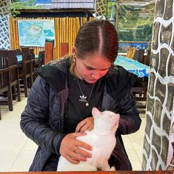 Am abig, nudelfertig. Bitz Trost go hole bi de Chatze und im Warung ide nöchi