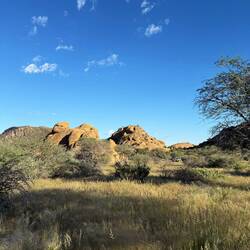 ...der neue Tag beginnt...