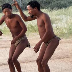 ...der Vogel Strauß schreitet durch den Busch...