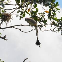 Da hat er sich doch etwas übernommen und ihn letztlich verloren