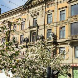 Kongens Nytorv, or "The King's New Square"