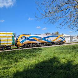 Der Güterzug blockiert den Bahnübergang - zum Glück nicht lange