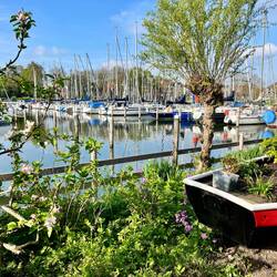 Stellplatz an der Marina, Blick aus dem Womo