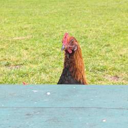 Gibt's hier was zu holen???