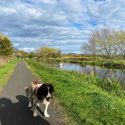Canal behind Elaine's house