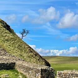 Along Hadrian's wall