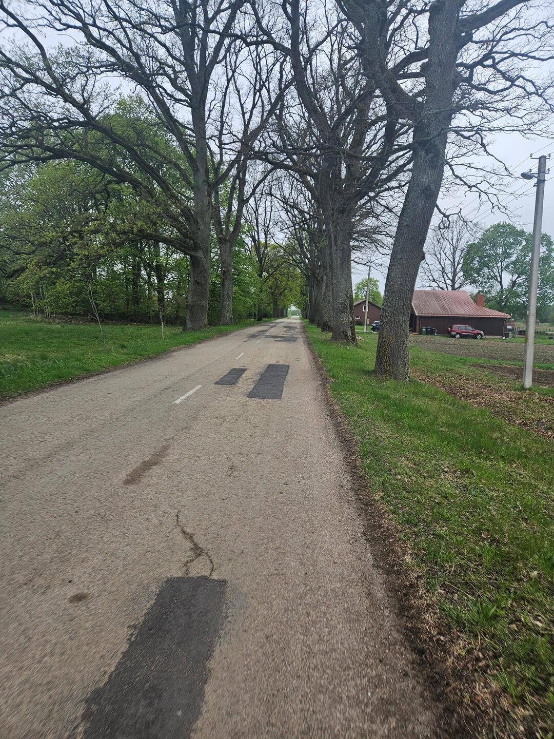 Allee