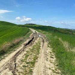 Eins von vielen Matschlöchern