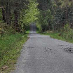 Seemed to go on forever but was 5 km