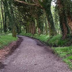 A lovely walk(well almost a run) to Melide to catch the bus