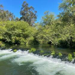 Rapides dans le torrent