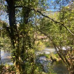 Le torrent