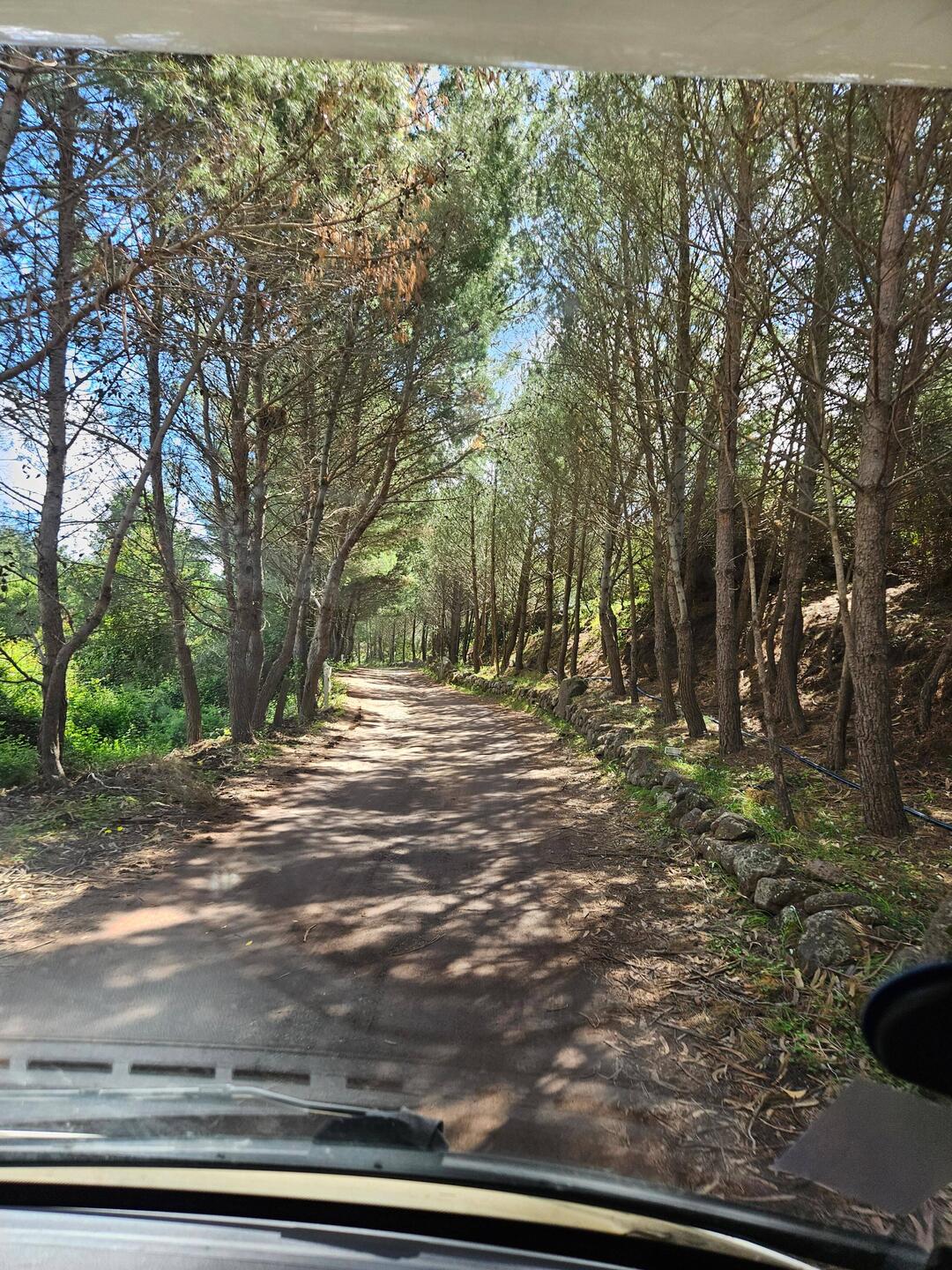 Weg zum Campingplatz