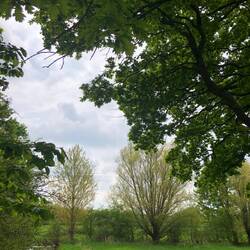 Hier sah ich die beiden Störche