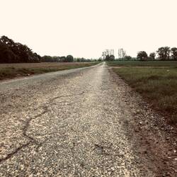 "dieser Weg-wird kein leichter sein..."