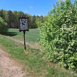 Miałem nadzieję, że spotkam łosie