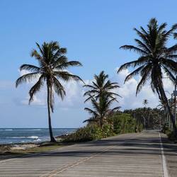 The road that runs along the coast of the island.