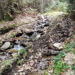 Wanderweg nach dem Regen