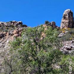 Am Rande des Castelo