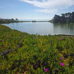 UCSB Lagoon
