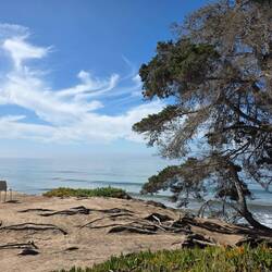 UCSB Lagoon beach