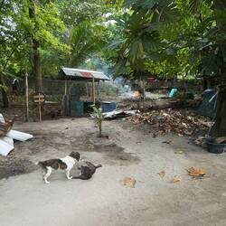 So lebed d Lüt da. S krässischte wo mer bisher erlebt hend.