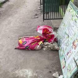 Lebendi Schwein wo es chliises Loch hend zum Schnuufe, vorem Restaurant. Ois fehled echt d Wort... 😣