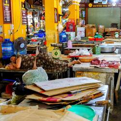 Siesta an der Fleischtheke 🫣