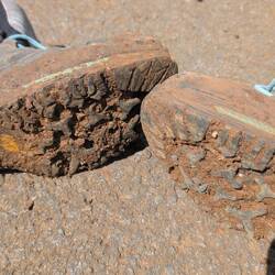 Abendprogramm steht...😅🧽🧴🪥