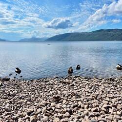 Dores, Loch Ness