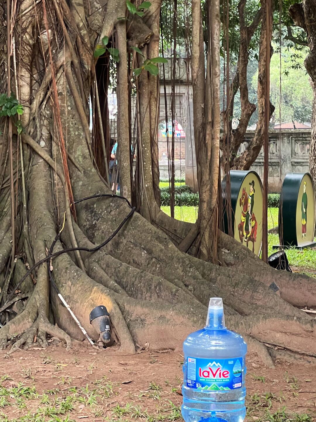 Dans le jardin du musée