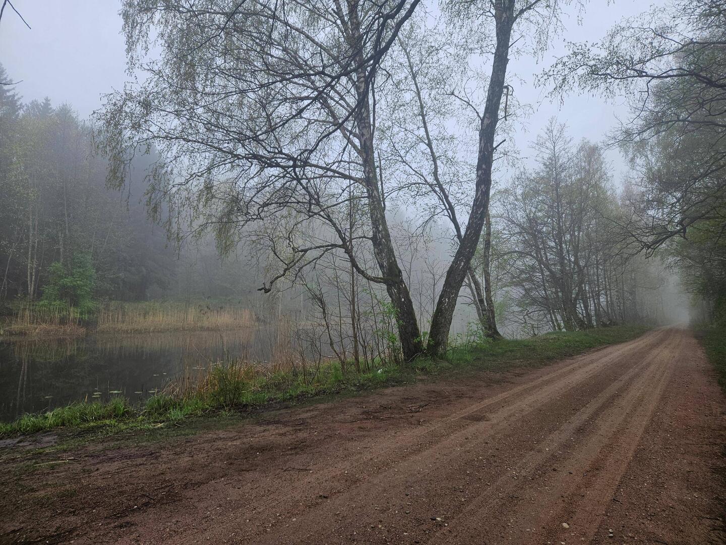 Nebel am Kaiser-Wilhelm-Kanal