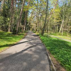 Es wird immer grüner