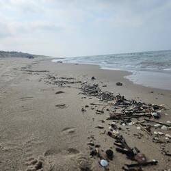 Kurische Nehrung mit Blick auf die Ostsee