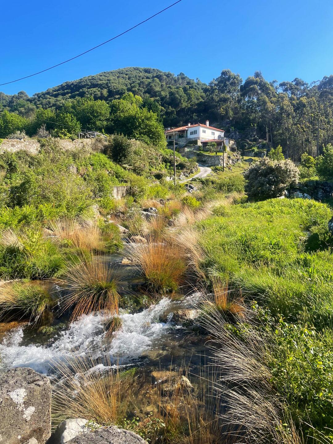 Torrent