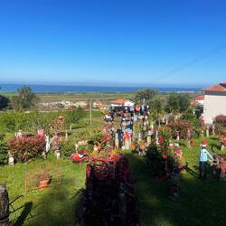 Jardin décoré