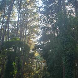 Zugang zum Strand, der uns gefällt