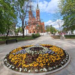 Białystok jest wiosną pięknie ukwiecony i zazieleniony