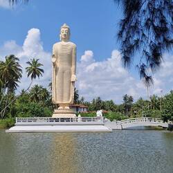 Buddha, the height of tallest wave
